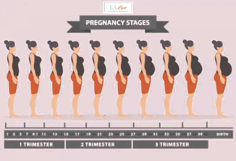First Trimester (Weeks 1–12): Early Changes You Might Not Notice Burgess Hill